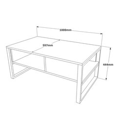 Журнальные столики Iron FURNLUX CLASSIC, 100x60x44 cm, натуральный цена и информация | Журнальные столики | kaup24.ee