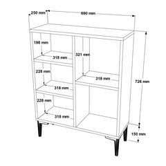 Vitriinkapp Lodle FURNLUX CLASSIC, 69x25x88 cm, naturaalne hind ja info | Vitriinkapid | kaup24.ee