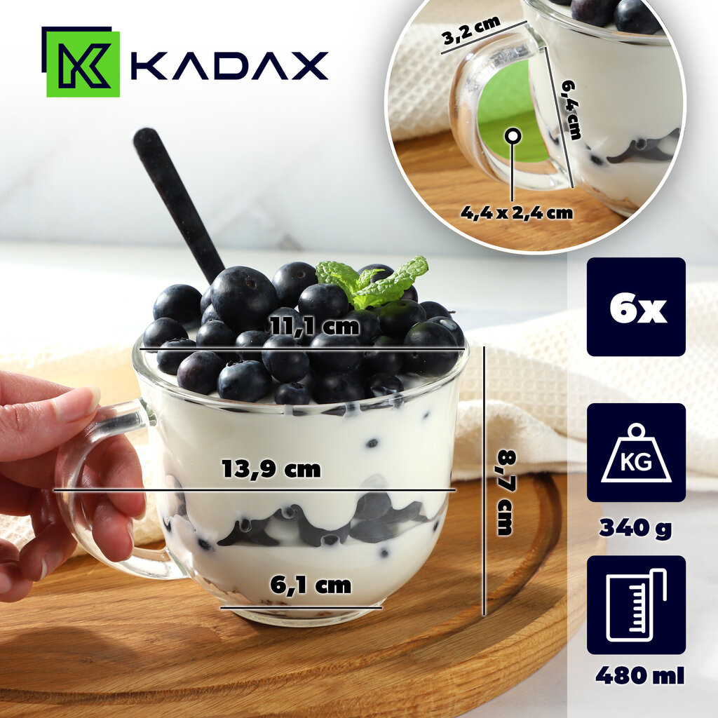 6x Kohvi-tee Klaasid 480ml Klaas Sangaga klaaside komplekt hind ja info | Klaasid, tassid ja kannud | kaup24.ee