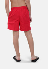 Nike Шорты Для Купания Nk B Ess 4'' Volley Short Red NESSB866 614 NESSB866 614/S цена и информация | Плавки для мальчиков | kaup24.ee