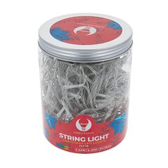 String light 240LED 19,2m multicolor Forever Light hind ja info | Rippvalgustid | kaup24.ee