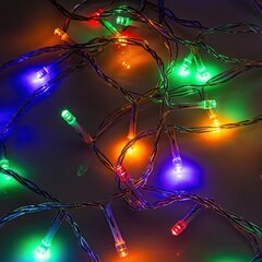 String light 240LED 19,2m multicolor Forever Light hind ja info | Rippvalgustid | kaup24.ee