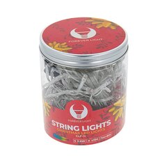 String light 100LED 8m multicolor Forever Light hind ja info | Rippvalgustid | kaup24.ee