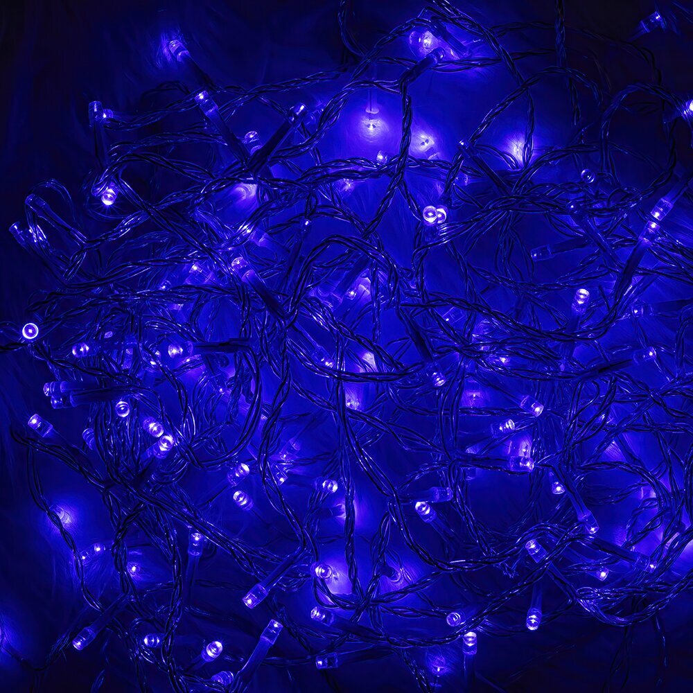 String light 100LED 8m blue Forever Light hind ja info | Rippvalgustid | kaup24.ee