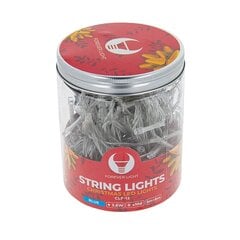 String light 100LED 8m blue Forever Light цена и информация | Люстры | kaup24.ee