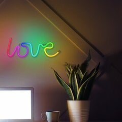 Neon LED RGB LOVE FLRN01 + RC Forever Light цена и информация | Люстры | kaup24.ee