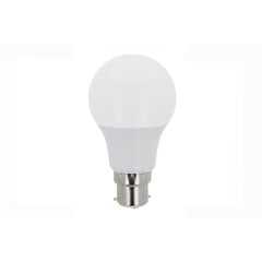 LED Bulb B22 A60 6W 230V 6000K 660lm Forever Light hind ja info | Rippvalgustid | kaup24.ee