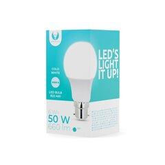 LED Bulb B22 A60 6W 230V 6000K 660lm Forever Light hind ja info | Rippvalgustid | kaup24.ee