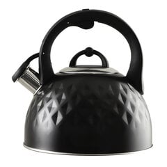 Стальной чайник 2,5 л, индукционный газовый свисток с традиционной ручкой цена и информация | Чайники, кофейники | kaup24.ee