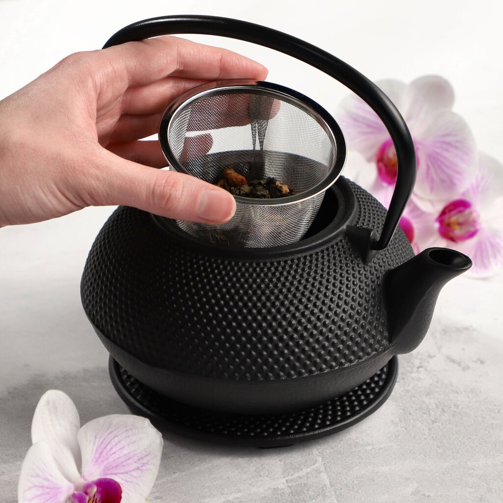 Herb Tea Infuser malmist teekann 850 ml kann + 2 tassi musta hind ja info | Kohvikannud, teekannud | kaup24.ee