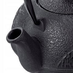 Malmist veekeetja komplekt 720ml Black Teapot Tea Jug Infuser hind ja info | Kohvikannud, teekannud | kaup24.ee