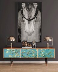 TV-kapp 2 sahtli ja 2 uksega L 170 cm, Almond Blossom By Van Gogh Walnut цена и информация | Комоды | kaup24.ee