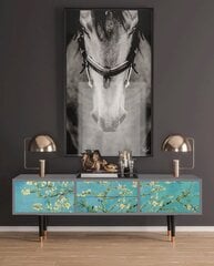 TV-kapp 2 sahtli ja 2 uksega L 170 cm, Almond Blossom By Van Gogh Grey цена и информация | Комоды | kaup24.ee