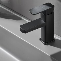 '1set yevu square ɖeka do basin faucet' hind ja info | Vannitoa sisustuselemendid ja aksessuaarid | kaup24.ee