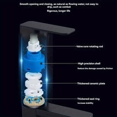'Одиночный смеситель для холодной воды из нержавеющей стали для раковины в ванной комнате ' цена и информация | Аксессуары для ванной комнаты | kaup24.ee