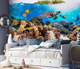 Фотообои (полуматовые) - Коралловый риф, 400x250 цена и информация | Фотообои | kaup24.ee