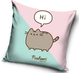 Laste padi 40x40 Pusheen Cat Velvet 40x40 Pusheen Cat Velvet hind ja info | Padjad | kaup24.ee