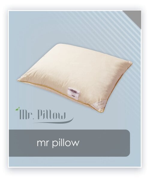 Padi 50x60 600g Mr. Pillow Cream 50x60 600g цена и информация | Padjad | kaup24.ee