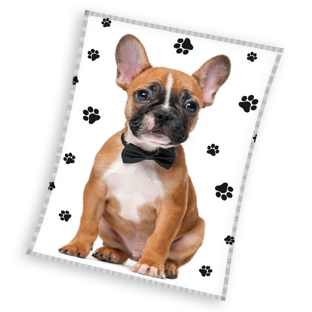 Fliisist tekk voodiplaat 130x170 Bulldogi koer hind ja info | Beebide ja laste voodipesu | kaup24.ee