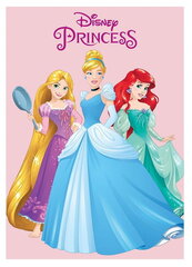 Fliisist tekk 110x140 Printsessid Disney hind ja info | Beebide ja laste voodipesu | kaup24.ee