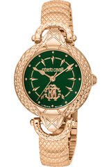 Roberto Cavalli By Franck Muller - RV1L165M - Kollane RV1L165M0071 цена и информация | Женские часы | kaup24.ee