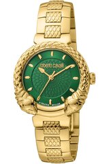 Roberto Cavalli By Franck Muller - RV1L190M - Kollane RV1L190M0051 цена и информация | Женские часы | kaup24.ee