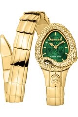 Roberto Cavalli By Franck Muller - RV1L201M - Kollane RV1L201M0031 цена и информация | Женские часы | kaup24.ee