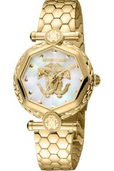 Roberto Cavalli By Franck Muller - RV1L204M - Kollane RV1L204M0051 цена и информация | Женские часы | kaup24.ee