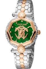 Roberto Cavalli By Franck Muller - RV1L204M - Kollane RV1L204M0101 цена и информация | Женские часы | kaup24.ee