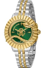 Roberto Cavalli By Franck Muller - RV1L213M - Kollane RV1L213M0081 цена и информация | Женские часы | kaup24.ee