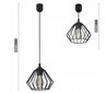 "Luxolar Diamond 1" ripplamp - E27 valguspunktid hind ja info | Rippvalgustid | kaup24.ee