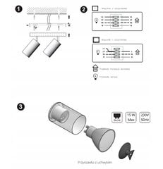 Потолочная люстра Plafond Tubes AG4 LED GU10 цена и информация | Потолочные светильники | kaup24.ee