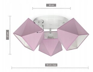 Потолочный светильник Luxolar E27 в розово-фиолетовых оттенках цена и информация | Потолочные светильники | kaup24.ee