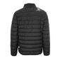 Plein Sport - UPPS103P - Must UPPS103P99_BLACK-54 цена и информация | Meeste joped | kaup24.ee