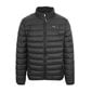 Plein Sport - UPPS103P - Must UPPS103P99_BLACK-54 цена и информация | Meeste joped | kaup24.ee