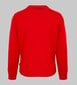 Plein Sport - FIPSG60 - Punane FIPSG60152_RED-XXL цена и информация | Meeste pusad | kaup24.ee