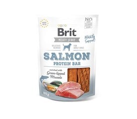 Brit Jerky Salmon Protein Bar maiused koertele, 80 g x 6 hind ja info | Maiustused koertele | kaup24.ee