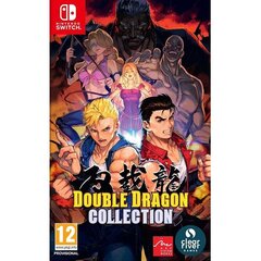 Double Dragon Collection Switch hind ja info | Arvutimängud, konsoolimängud | kaup24.ee