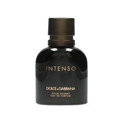 Dolce Gabbana Pour Homme EDP Intenso 40ml hind ja info | Meeste parfüümid | kaup24.ee