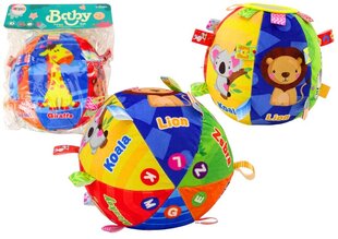 Сенсорный мяч, 18 см цена и информация | Игрушки для малышей | kaup24.ee