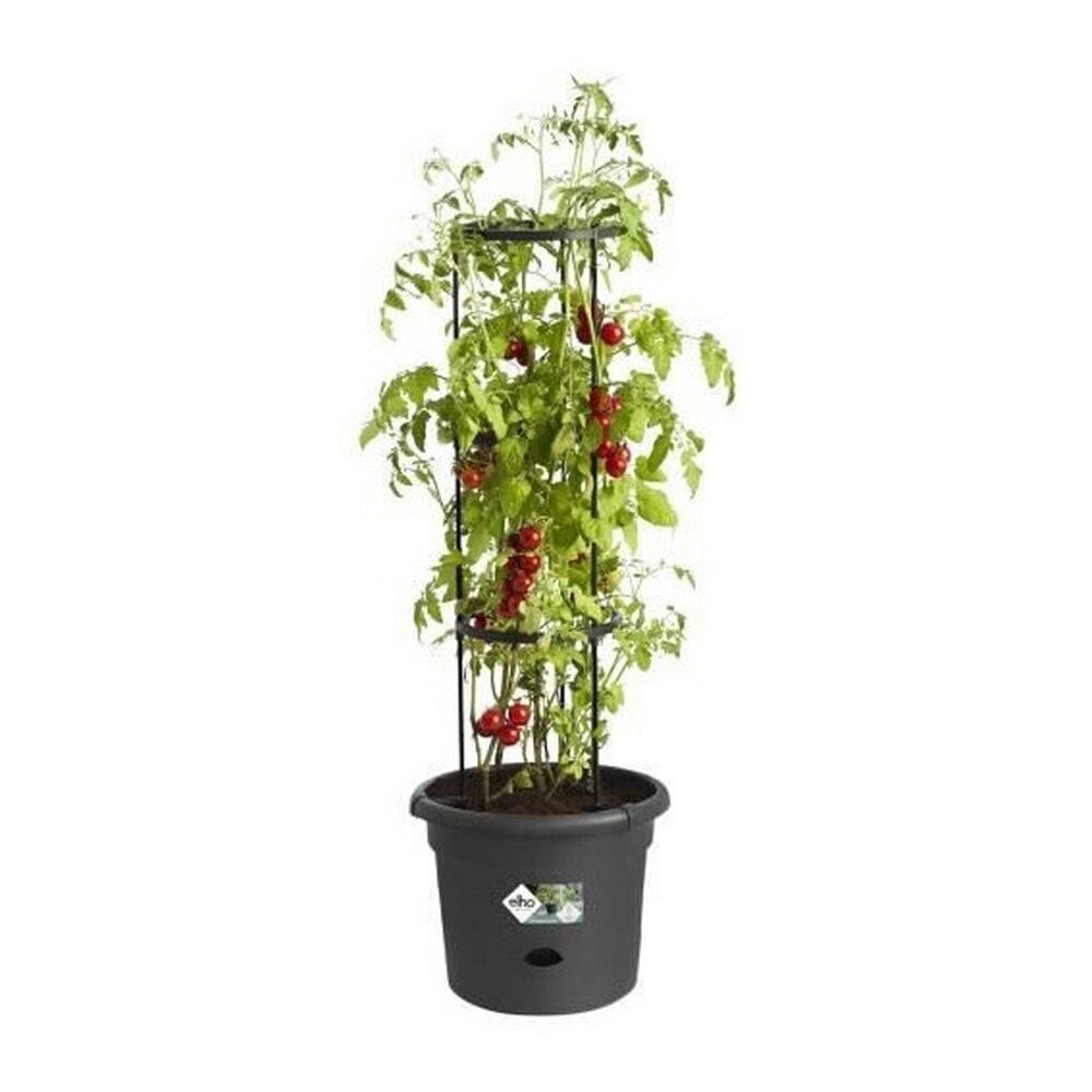 Taimepott Elho Basics Tomato Must (Ø 33 cm) hind ja info | Dekoratiivsed lillepotid | kaup24.ee