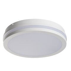 LED Plafond BENO 24W NW O W valge hind ja info | Aia- ja õuevalgustid | kaup24.ee