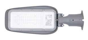 LED PREMIUM 50W IP65 tänavalamp, külmvalge (6500K), 130Lm/W, 3 aasta garantii hind ja info | Aia- ja õuevalgustid | kaup24.ee