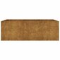 vidaXL taimekast, 120 x 80 x 40 cm, Corten-teras hind ja info | Lillekastid | kaup24.ee