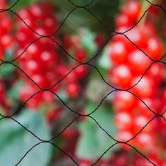 Nature linnuvõrk "Primo" 10 x 4 m, must hind ja info | Aiatööriistad | kaup24.ee