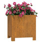 vidaXL jalgadega taimekastid, 2 tk, 32x30x33 cm, Corten teras hind ja info | Lillekastid | kaup24.ee