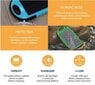 Akupank Forever STB-200 Solar Power Bank 5000 mAh цена и информация | Akupangad | kaup24.ee