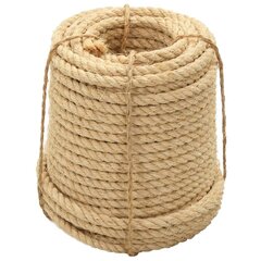 vidaXL köis 100% sisal 12 mm 250 m hind ja info | Aiatööriistad | kaup24.ee