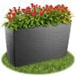 Lillepott Lillepott Lillepott + Insert Grafiit 19x56 cm hind ja info | Lillekastid | kaup24.ee