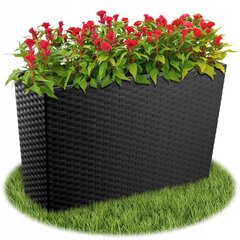 Lillepott Lillepott + Rattan Insert Must 19x56 cm hind ja info | Vaasid, alused, redelid lilledele | kaup24.ee